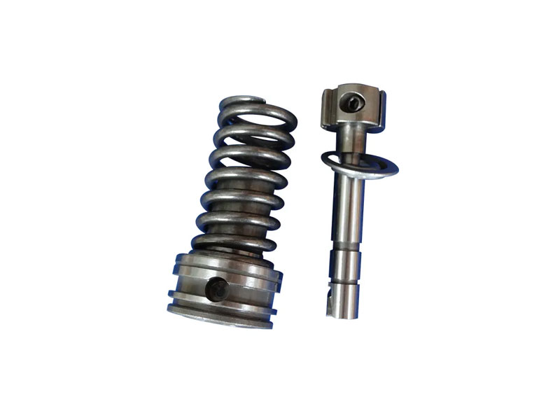 Diesel Plunger 2418455012