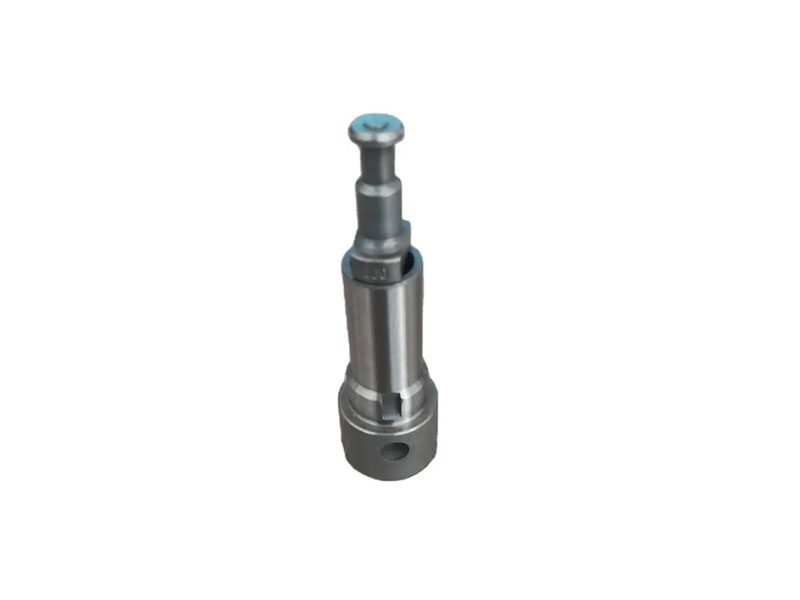 Diesel Plunger 2418455069