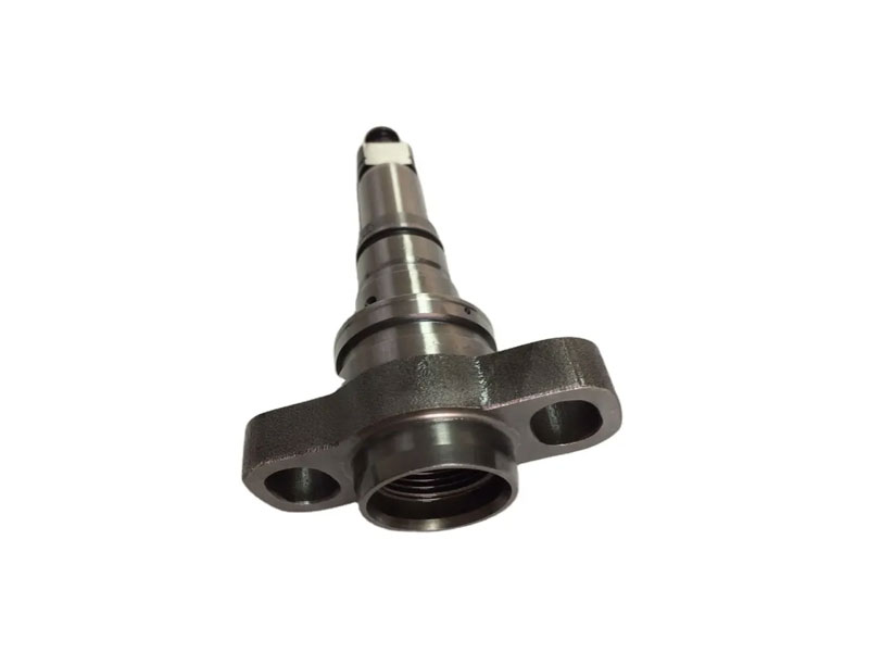 Diesel Plunger 2418455192